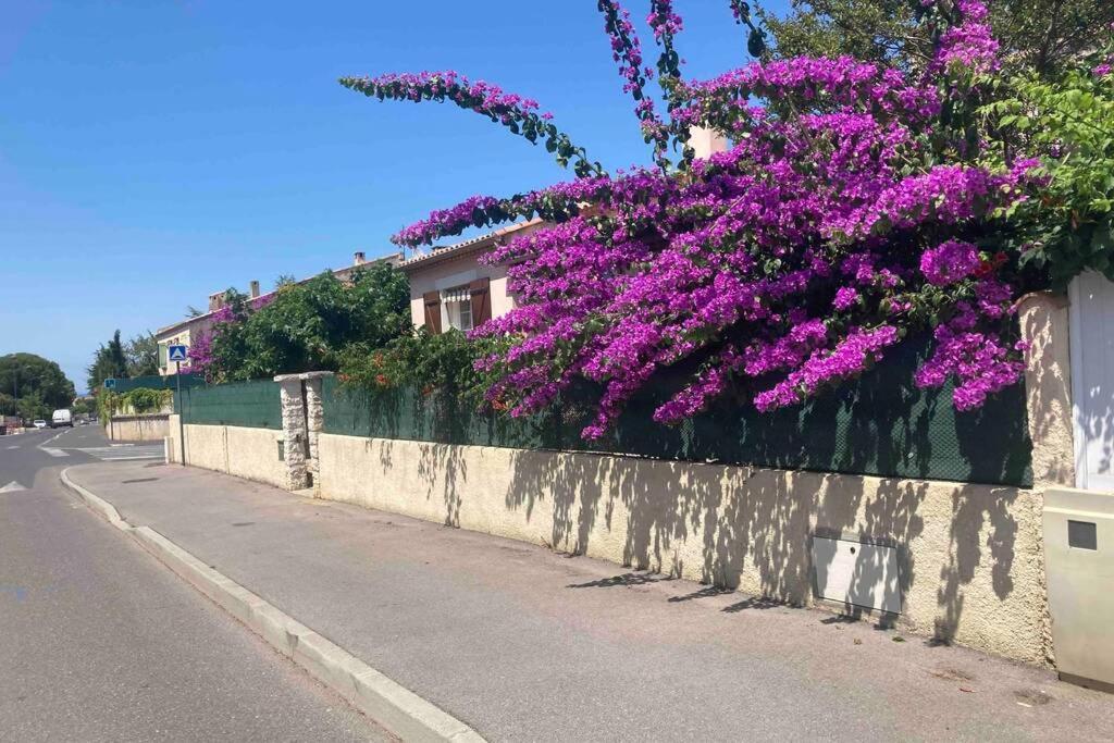Magnifique Villa Avec Piscine Villeneuve-lès-Maguelonne Esterno foto